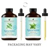 Handcraft Blends Spearmint Essential Oil – Huge 4 Fl Oz