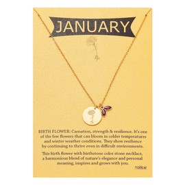 TGOLM January Birth Flower Birthstone Pendant Necklace for Women, Created-garnet Crystal Carnation Charm Necklace Birthday Gift for Her