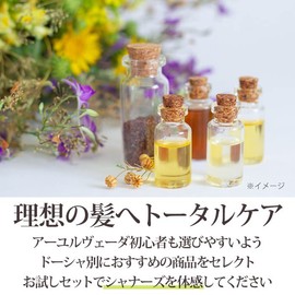 Ayurvedic Hair Care Vata Trial Set Shanners Indian Salon Trial Travel Shampoo Conditioner