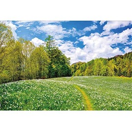 Countryside Farm Field Backdrop for Photography 10x7ft Spring Summer Scenery Green Meadow Sky Clouds Photo Background Party Outdoor Decoration Travel Picnic Cloth Portrait Photo Studio Props Vinyl