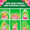 Gain Super Flings Laundry Detergent Pacs, 18 Count, Hibiscus Hula