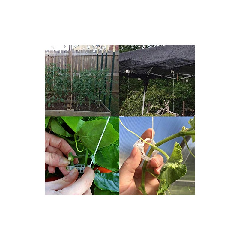 Greenhouse Trellising Kit - 10 Roller Hooks & 100 Support