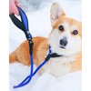 BullyBillows Anti-Pull Anti-Choking Training Dog Lead | 1.4m Active Light