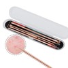 Blackhead Remover Tool Kit,4 Pieces Comedone Extractor Tool Blemish Whitehead