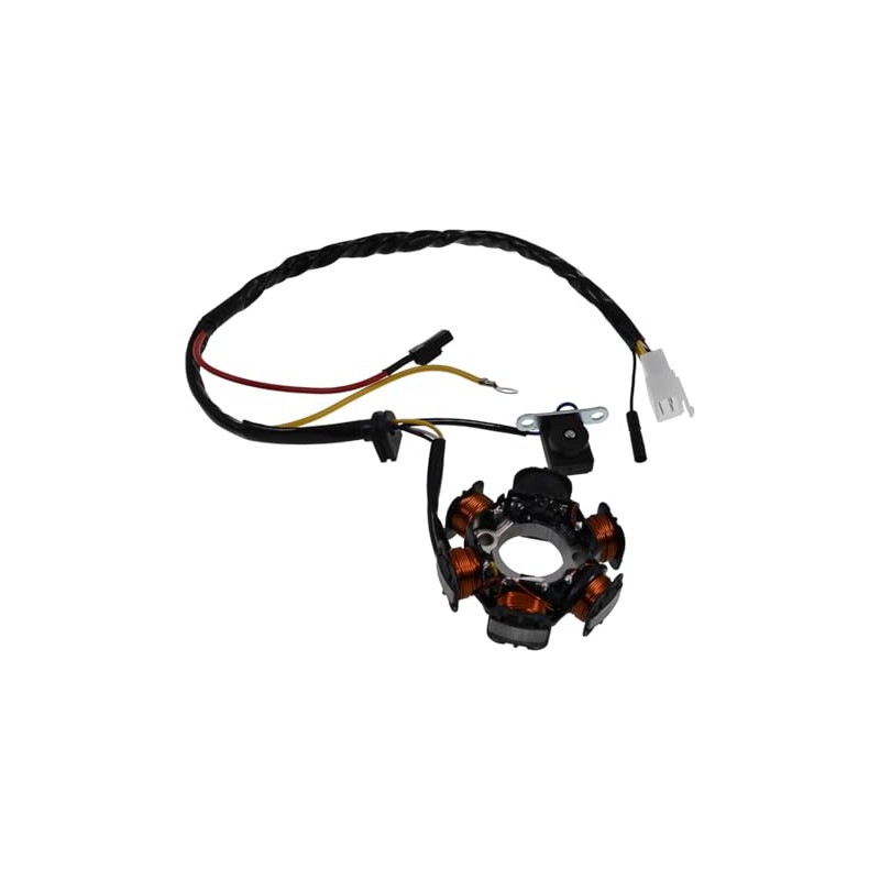 2EXTREME Alternator Compatible with Honda Bali SJ 50, Dio 50,