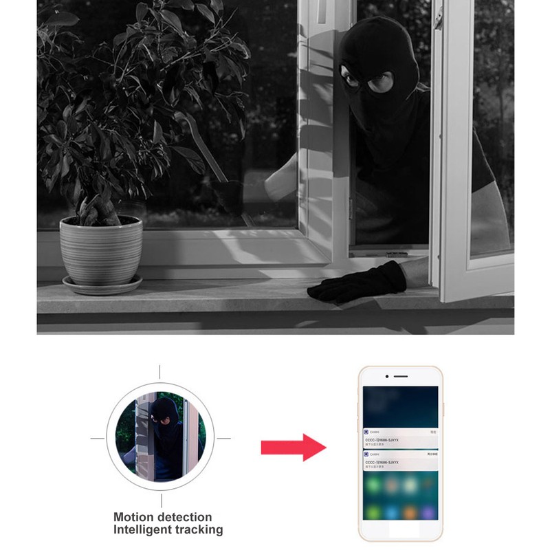 3 Antenna Monitor Camera 2MP 1080P Night Vision Motion Detection