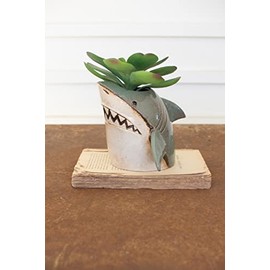 Kalalou CDV2160 Shark Planter, Ceramic, 8-inch Length