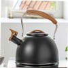 GRIRIW Ergonomic Handle Design Black Whistling Kettle for Heating Tea