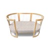 Babyhood Amani Bebe Jersey Cotton Oval Fitted Sheet, Reed