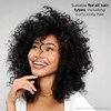 Clairol Professional Beautiful Collection Advanced Gray Solutions, 7N Sand Blonde,