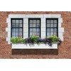 Mayne Yorkshire 6' Window Box Planter 4826