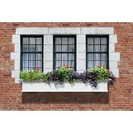 Mayne Yorkshire 6' Window Box Planter 4826