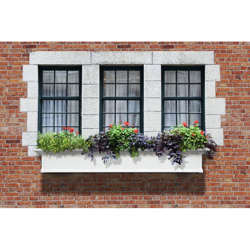 Mayne Yorkshire 6' Window Box Planter 4826