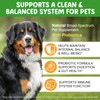Natural Intestinal Defense for Dogs, Herbal Cleanser & Natural Digestive