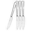 KINGSTONE 4 Piece Dinner Knives Set, Stainless Steel Knives