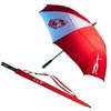 Delta Sigma Theta 30'' Wind Resistant Auto Open Folding Umbrella
