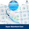 American Kennel Club Male Dog Wrap, Disposable Diapers with Wetness