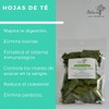 Neem Extracto 50ml y Hojas Deshidratadas 21g
