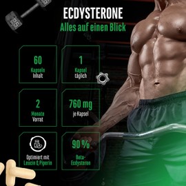 Ecdysterone Complex - High Dose with 760 mg per Capsule - Premium: 90% Beta-Ecdysterone + L-Leucine + Piperine - 60 Capsules - Vegan