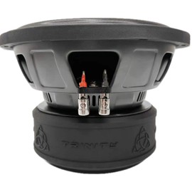 Trinity Audio TAS-E10D2 10" 2400W Dual 2-Ohm Subwoofer