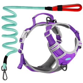 ThinkPet No Pull Harness Set Breathable Sport Harness with Handle - Reflective Padded Dog Safety Vest with Reflective Neon Dog Leash L Harness Leash Pack Purple
