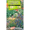 Takii Seedlings Wild Flower Hydro Color Mix