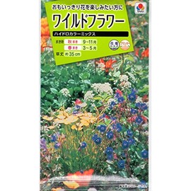 Takii Seedlings Wild Flower Hydro Color Mix