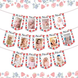 Photo Banner 1st Birthday Girl, Strawberry Theme one Birthday Decorations with Sweet Blueberry Monthly Photo Banner First Birthday Party Supplies From Newborn to 12 Month Photo Banner for Baby Girl