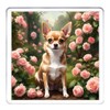 Chihuahua Coaster Set. 4 different Chihuahua Dog Pictures on 10cm