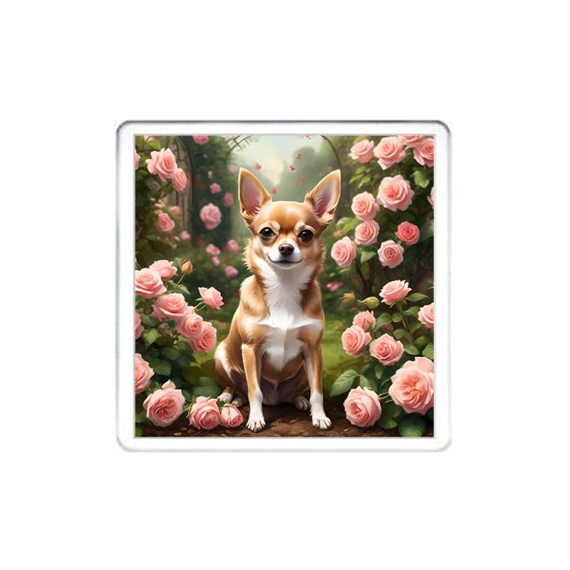 Chihuahua Coaster Set. 4 different Chihuahua Dog Pictures on 10cm