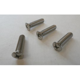 Reproduction 1947 48 49 50 51 52 53 54 Chevy Truck Outside mirror arm screws set of 4 SS