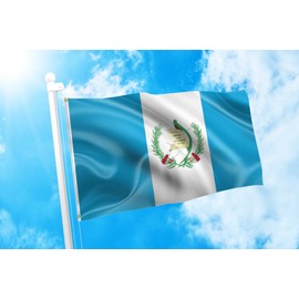 DMSE Guatemala Guatemalan Coat of Arms Pabellón Nacional Azuliblanco Flag 2X3 Ft Foot 100% Polyester 100D Flag UV Resistant (2' X 3' Ft Foot)