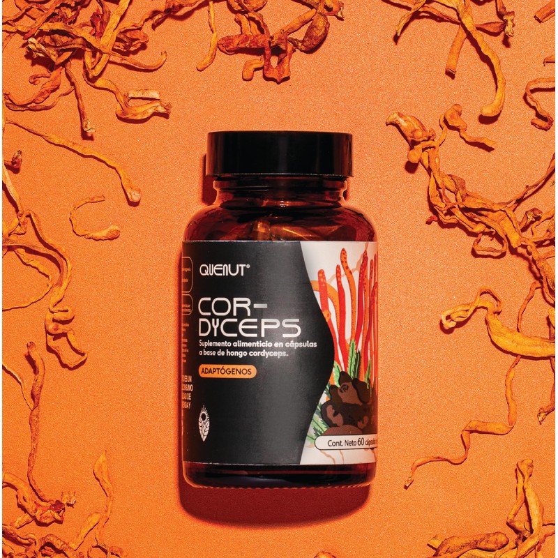 QUENUT | Adaptógeno Orgánico de Hongo Cordyceps en Cápsula Vegana