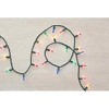 Home Accents Holiday 20 ft. 100-Lights String-to-String Incandescent Lights Mini