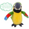 XiuLiFeiFei hengleTalking Parrot,Repeating Parrots, Repeating Talking Parrots, Talking Parrots, Electric