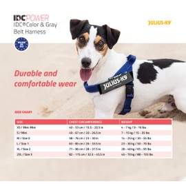 Julius-K9 16IDC-M-R-2015 IDC Color & Gray Belt Harness for Dogs, Size Mini, Red-Gray