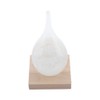 Storm Glass Drop shaped Storm Bottle Desktop Weather Station Predictor