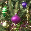 MGCOLLECTION Mardi Gras Ornament Assorted Box (40)