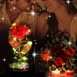 Birthday Gifts for Women,Christmas Rose Gifts for Women,Womens Glass Rose Gifts,Light Up Rose Flowers in Glass Dome,Colorful Red Flower Rose Mom Gifts for Her,Wife,Christmas,Thanksgiving,Anniversary