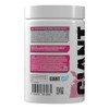 Giant Sports Performance Edge Series BCAA 30 Serving (Watermelon, 30