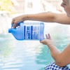 CPDI Champion 4-Pack Acidblue Muriatic Acid for Swimming Pools &