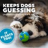 Outward Hound by Planet Dog Orbee-Tuff Planet Ball Blue/Green Treat-Dispensing