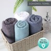 Songwol Towel Antibacterial Plain 150g Functional Towel Set of 10, White 10 Pieces / 송월타올 항균무지150g 기능성타월 10장세트, 백색10장