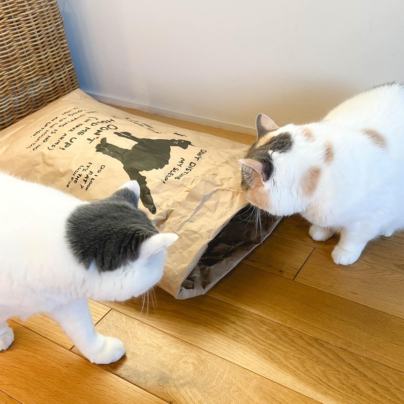 Orneko Rice Bag for Cats angry Cat