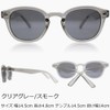 Eight Tokyo LEO-1102-P Polarized Sunglasses for Driving and Driving, Wellington