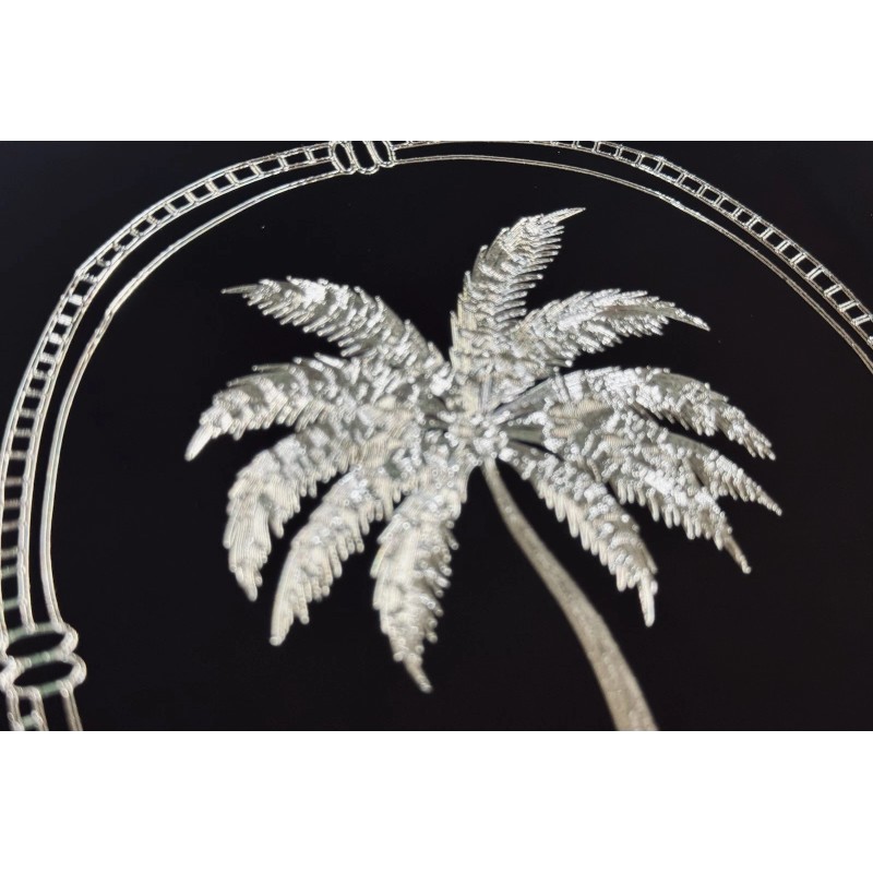 Diamond Etched Products SC Carolina Palm Tree Car Tag Diamond
