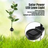 Solar Power LED Camellia Flower Light for Outdoor Yard Garden