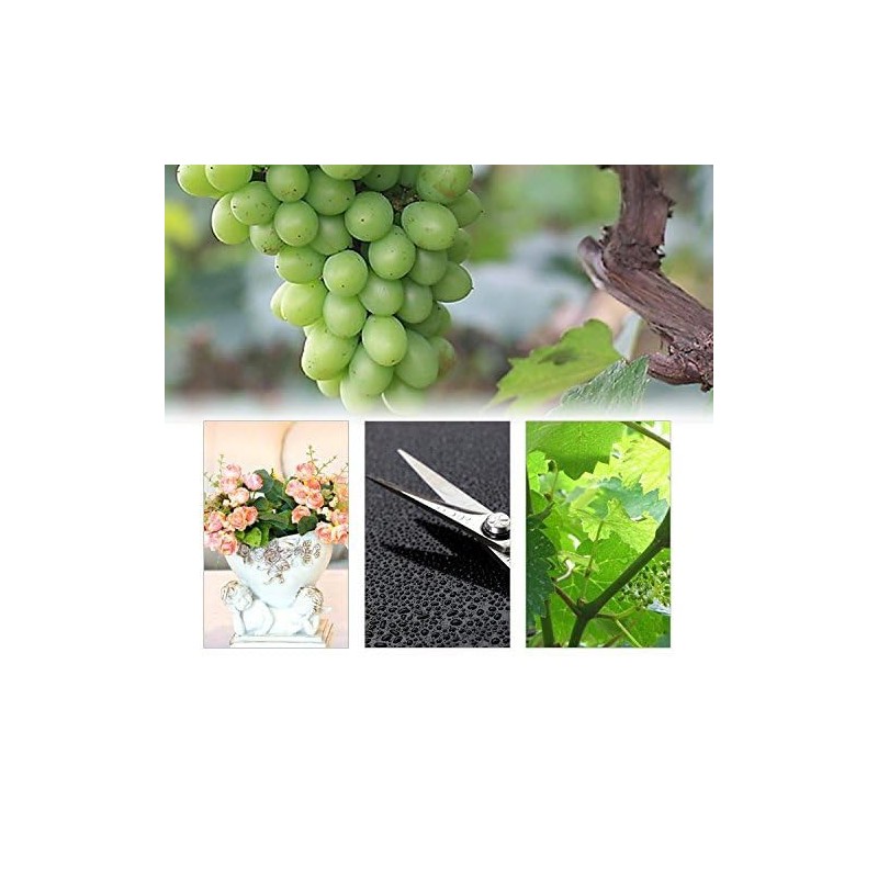 Honbay - Tijeras de corte resistentes para jardín, frutas y