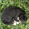 Vivid Arts - Sleeping Cat Black & White - XRL-ZC35-D