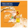 ZEST Jabón en Barra Agua de Coco y Agave, 5pack